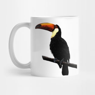 Toco toucan Mug